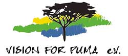 vision for puma logo